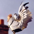 Avatar du membre