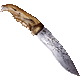 Avatar du membre
