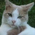 Avatar du membre